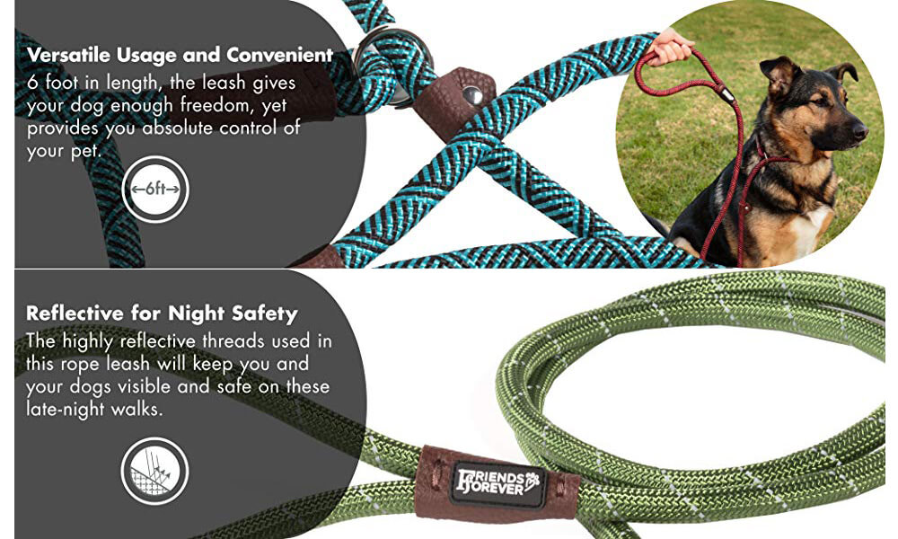 top rated dog collars and leashes